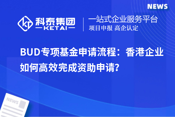BUD專項基金申請流程：香港企業(yè)如何高效完成資助申請？