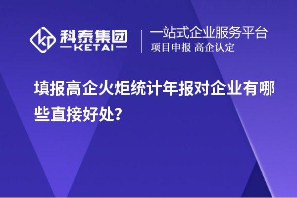  填報(bào)高企火炬統(tǒng)計(jì)年報(bào)對(duì)企業(yè)有哪些直接好處？