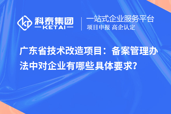 廣東省技術(shù)改造項(xiàng)目：備案管理辦法中對企業(yè)有哪些具體要求？