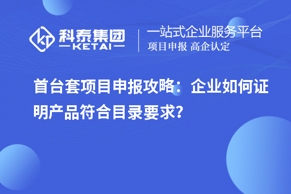 首臺(tái)套項(xiàng)目申報(bào)攻略：企業(yè)如何證明產(chǎn)品符合目錄要求？