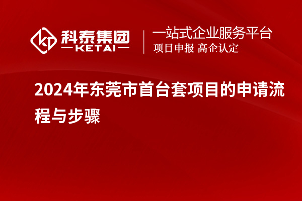2024年東莞市首臺(tái)套項(xiàng)目的申請流程與步驟