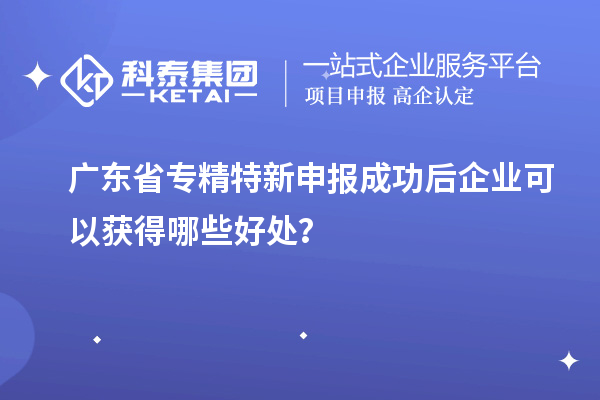廣東省專精特新申報成功后企業(yè)可以獲得哪些好處？