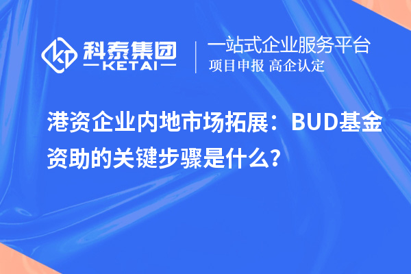 港資企業(yè)內(nèi)地市場(chǎng)拓展：BUD基金資助的關(guān)鍵步驟是什么？