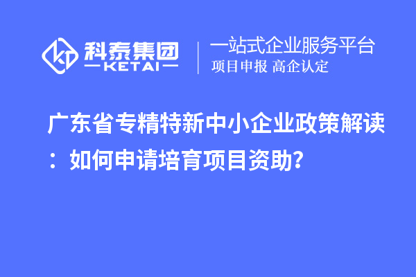 廣東省專精特新中小企業(yè)政策解讀：如何申請培育項目資助？