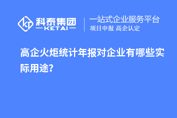 高企火炬統(tǒng)計(jì)年報(bào)對(duì)企業(yè)有哪些實(shí)際用途？