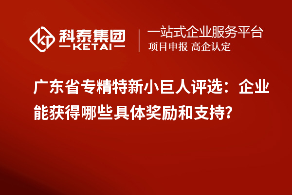 廣東省專精特新小巨人評選：企業(yè)能獲得哪些具體獎勵和支持？