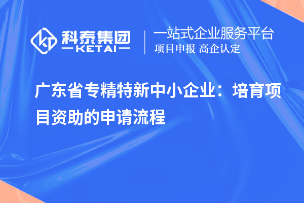 廣東省專精特新中小企業(yè)：培育項目資助的申請流程