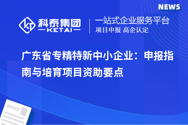 廣東省專精特新中小企業(yè)：申報指南與培育項目資助要點