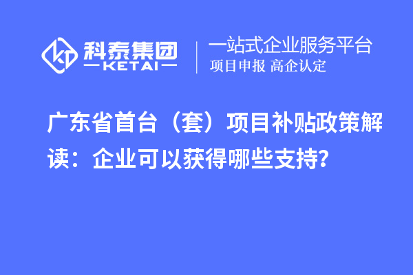 廣東省首臺（套）項目補貼政策解讀：企業(yè)可以獲得哪些支持？