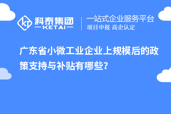 廣東省小微工業(yè)企業(yè)上規(guī)模后的政策支持與補(bǔ)貼有哪些？