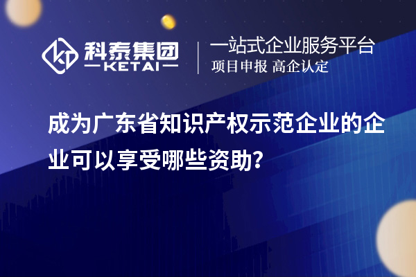 成為廣東省知識產(chǎn)權(quán)示范企業(yè)的企業(yè)可以享受哪些資助？