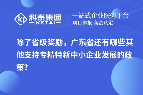 除了省級獎勵，廣東省還有哪些其他支持專精特新中小企業(yè)發(fā)展的政策？