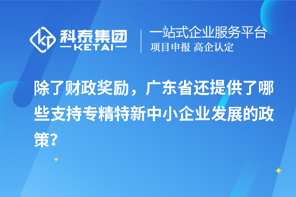 除了財(cái)政獎(jiǎng)勵(lì)，廣東省還提供了哪些支持專精特新中小企業(yè)發(fā)展的政策？