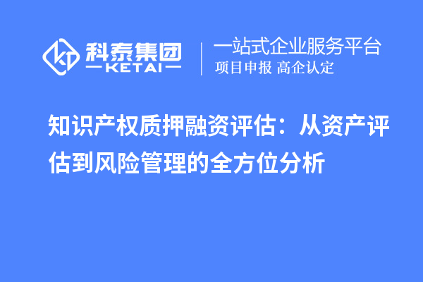 知識(shí)產(chǎn)權(quán)質(zhì)押融資評估：從資產(chǎn)評估到風(fēng)險(xiǎn)管理的全方位分析