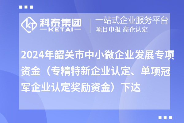 2024年韶關(guān)市中小微企業(yè)發(fā)展專項(xiàng)資金（專精特新企業(yè)認(rèn)定、單項(xiàng)冠軍企業(yè)認(rèn)定獎勵資金）下達(dá)