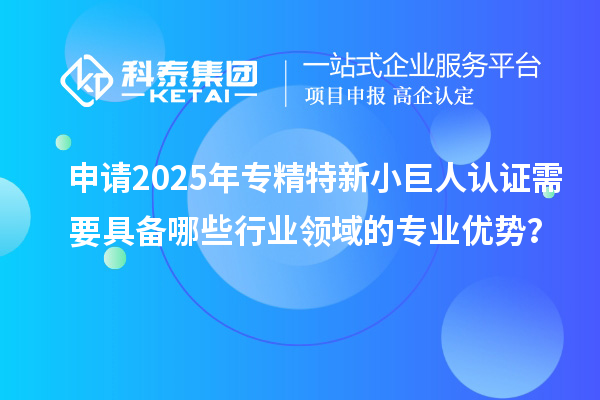 申請2025年專精特新小巨人認證需要具備哪些行業(yè)領(lǐng)域的專業(yè)優(yōu)勢？