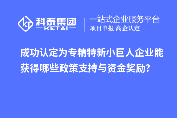 成功認(rèn)定為專精特新小巨人企業(yè)能獲得哪些政策支持與資金獎(jiǎng)勵(lì)？
