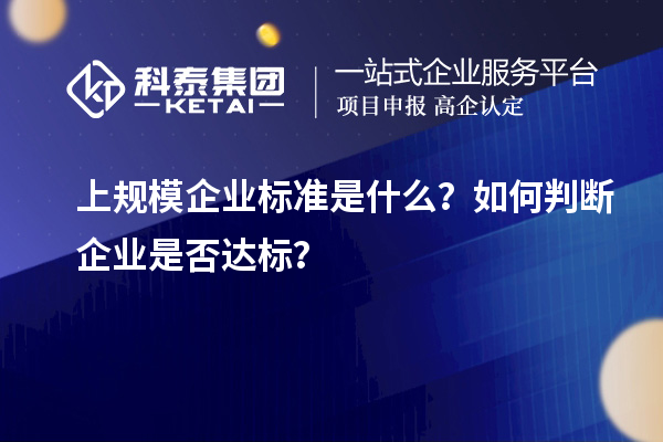 上規(guī)模企業(yè)標(biāo)準(zhǔn)是什么？如何判斷企業(yè)是否達(dá)標(biāo)？