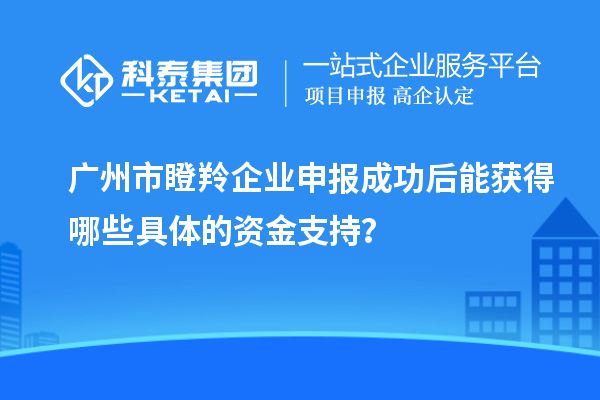 廣州市瞪羚企業(yè)申報成功后能獲得哪些具體的資金支持？