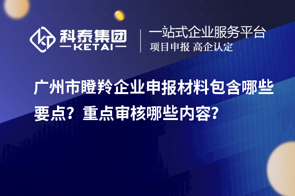 廣州市瞪羚企業(yè)申報(bào)材料包含哪些要點(diǎn)？重點(diǎn)審核哪些內(nèi)容？