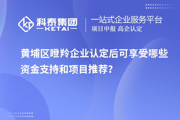黃埔區(qū)<a href=http://www.qiyeqqexmail.cn/fuwu/dengling.html target=_blank class=infotextkey>瞪羚企業(yè)認(rèn)定</a>后可享受哪些資金支持和項(xiàng)目推薦？