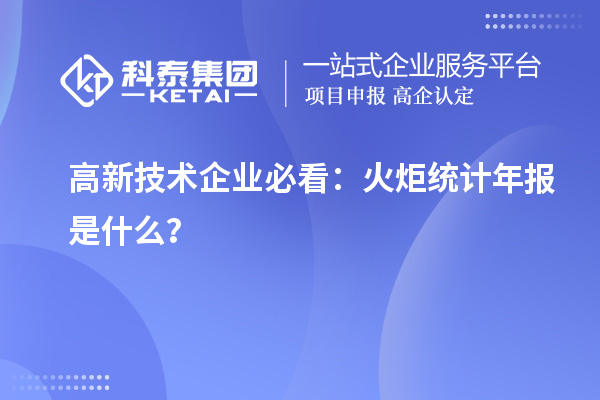 高新技術(shù)企業(yè)必看：火炬統(tǒng)計(jì)年報(bào)是什么？
