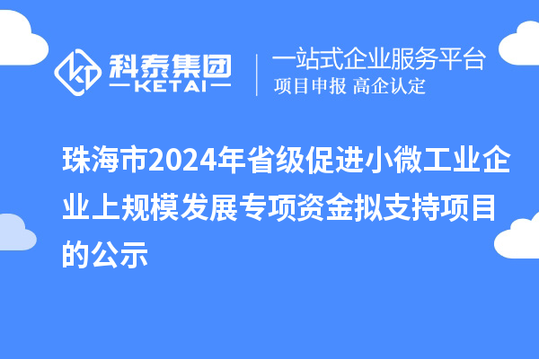 珠海市2024年省級促進小微工業(yè)企業(yè)上規(guī)模發(fā)展專項資金擬支持項目的公示