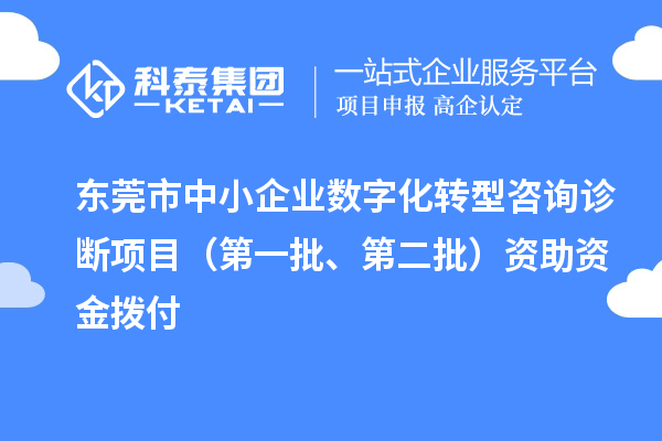 東莞市中小企業(yè)數(shù)字化轉(zhuǎn)型咨詢診斷項目（第一批、第二批）資助資金撥付