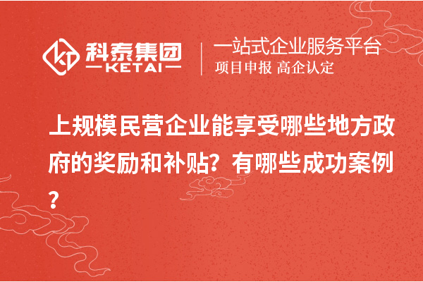 上規(guī)模民營(yíng)企業(yè)能享受哪些地方政府的獎(jiǎng)勵(lì)和補(bǔ)貼？有哪些成功案例？