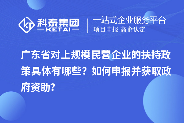 廣東省對上規(guī)模民營企業(yè)的扶持政策具體有哪些？如何申報并獲取政府資助？
