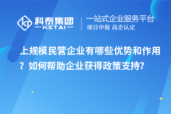 上規(guī)模民營企業(yè)有哪些優(yōu)勢和作用？如何幫助企業(yè)獲得政策支持？