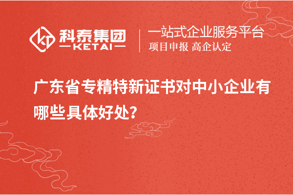 廣東省專精特新證書對(duì)中小企業(yè)有哪些具體好處？