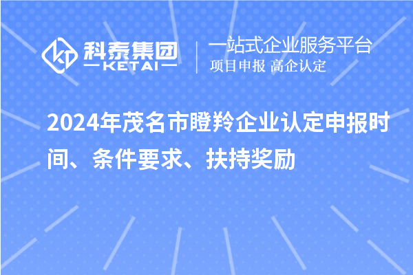2024年茂名市瞪羚企業(yè)認定申報時間、條件要求、扶持獎勵