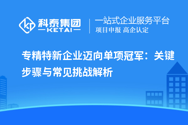 專精特新企業(yè)邁向單項(xiàng)冠軍：關(guān)鍵步驟與常見(jiàn)挑戰(zhàn)解析