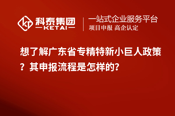 想了解廣東省專精特新小巨人政策？其申報流程是怎樣的？