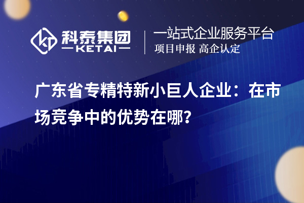 廣東省專精特新小巨人企業(yè)：在市場競爭中的優(yōu)勢在哪？