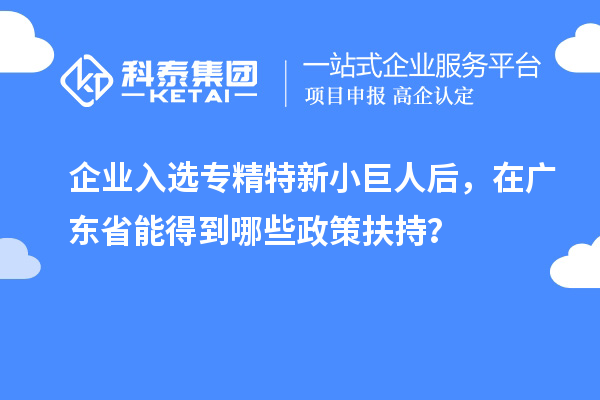 企業(yè)入選專(zhuān)精特新小巨人后，在廣東省能得到哪些政策扶持？