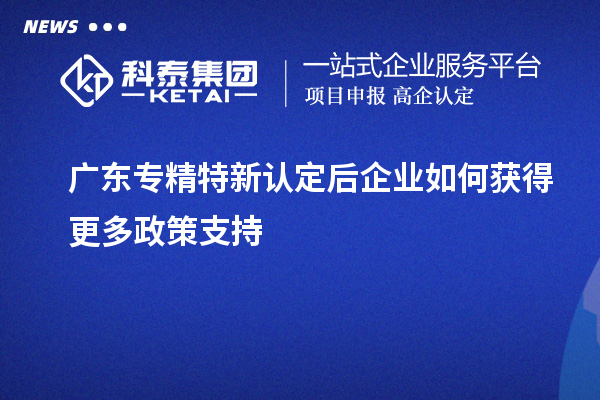 廣東專精特新認定后企業(yè)如何獲得更多政策支持