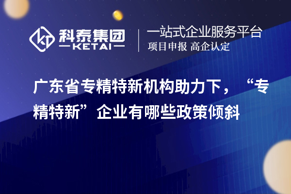 廣東省專精特新機(jī)構(gòu)助力下，“專精特新” 企業(yè)有哪些政策傾斜
