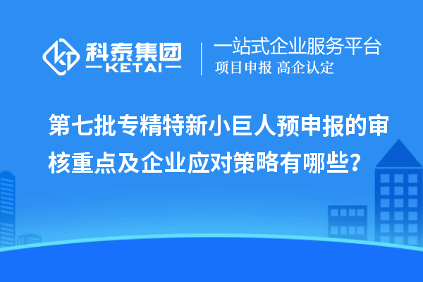 第七批專精特新小巨人預(yù)申報的審核重點及企業(yè)應(yīng)對策略有哪些？
