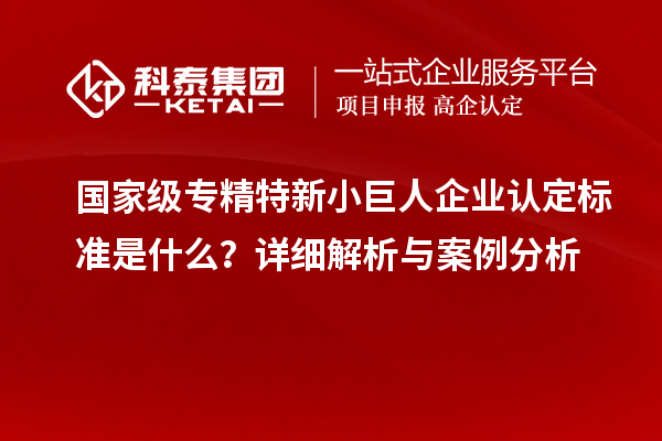 國家級專精特新小巨人企業(yè)認(rèn)定標(biāo)準(zhǔn)是什么？詳細(xì)解析與案例分析