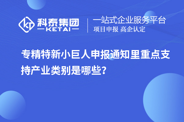 專精特新小巨人申報通知里重點(diǎn)支持產(chǎn)業(yè)類別是哪些？