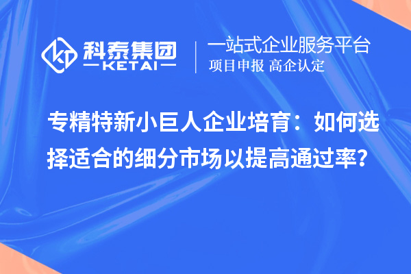 專精特新小巨人企業(yè)培育：如何選擇適合的細(xì)分市場以提高通過率？