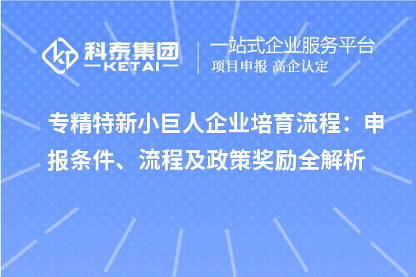 專精特新小巨人企業(yè)培育流程：申報條件、流程及政策獎勵全解析