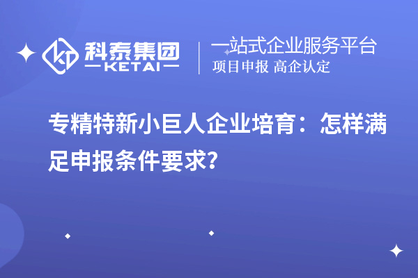 專精特新小巨人企業(yè)培育：怎樣滿足申報條件要求？