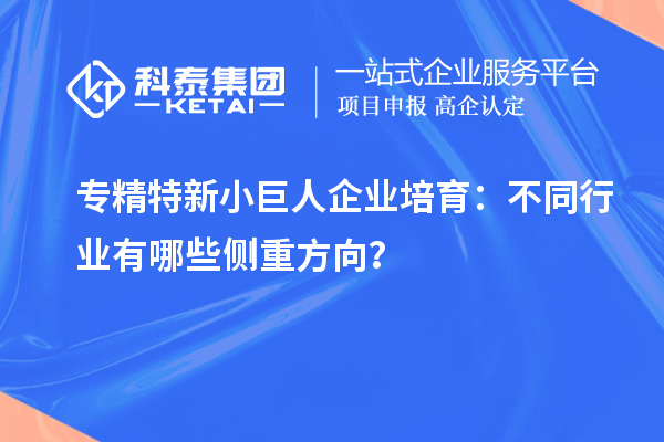 專精特新小巨人企業(yè)培育：不同行業(yè)有哪些側重方向？