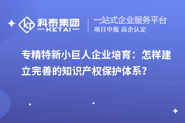專精特新小巨人企業(yè)培育：怎樣建立完善的知識產(chǎn)權保護體系？