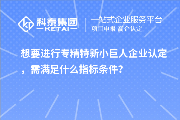 想要進行專精特新小巨人企業(yè)認定，需滿足什么指標條件？