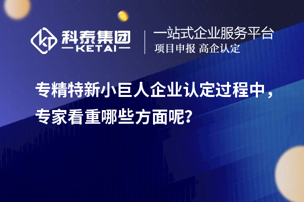 專精特新小巨人企業(yè)認(rèn)定過程中，專家看重哪些方面呢？