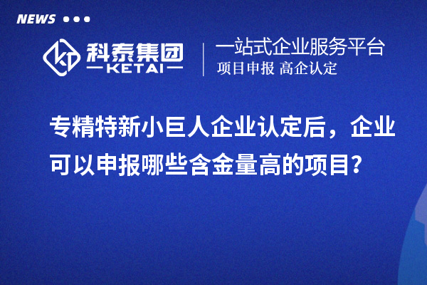 專精特新小巨人企業(yè)認(rèn)定后，企業(yè)可以申報(bào)哪些含金量高的項(xiàng)目？